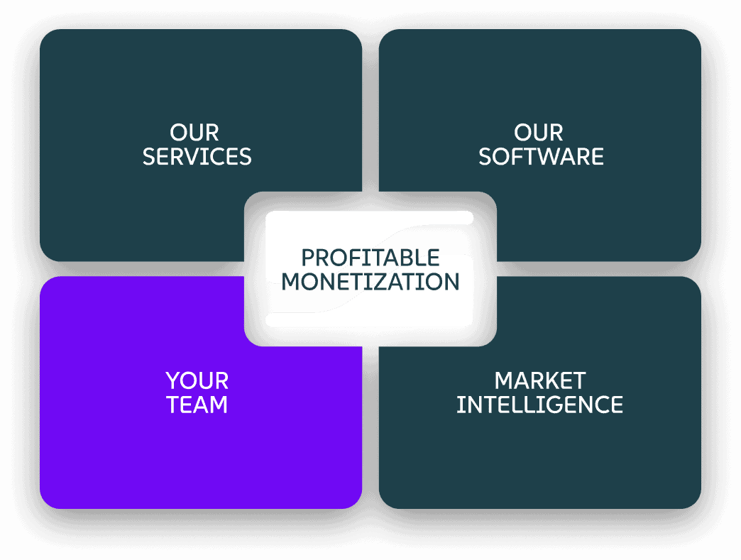 Your Team