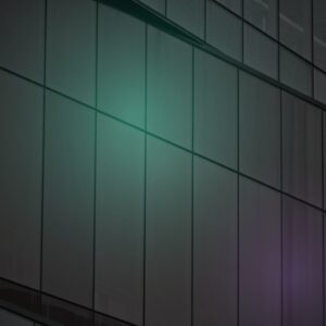 channel oem partner licensing | Software Pricing Partners