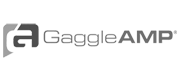 GaggleAmp